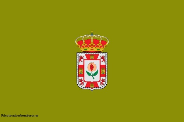 Test psicotécnicos para los Bomberos de Granada