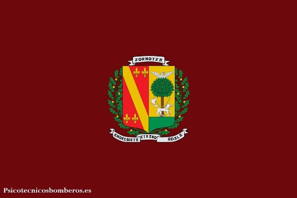 Test psicotécnicos para los Bomberos de Amorebieta-Echano