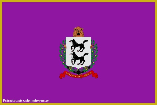 Test psicotécnicos para los Bomberos de Santurce